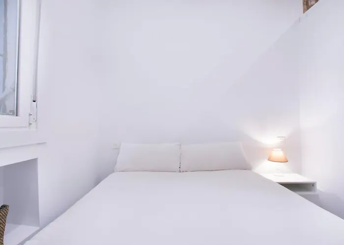 Fancy One-Bedroom La Latina